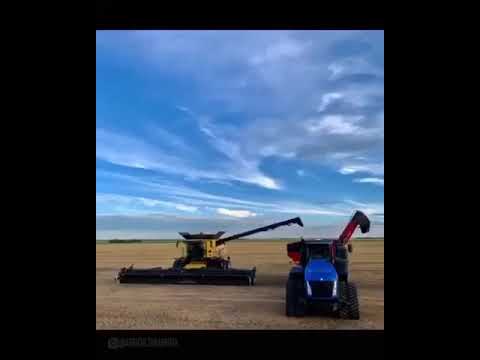 Agro OS Brinquedos Crescerá 🌱