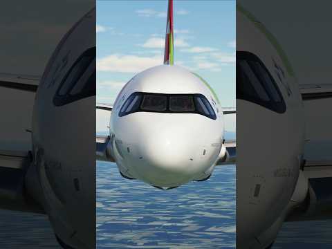 TAP Air Portugal A320neo preparing to land#aviation #airplane #airbusa320neo #flight
