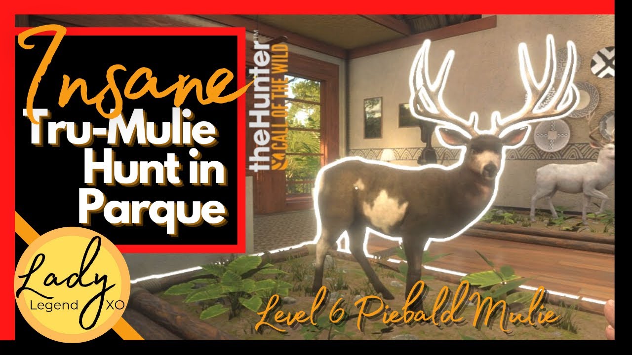 Epic Mule Deer Hunt in Parque Fernando 🦌