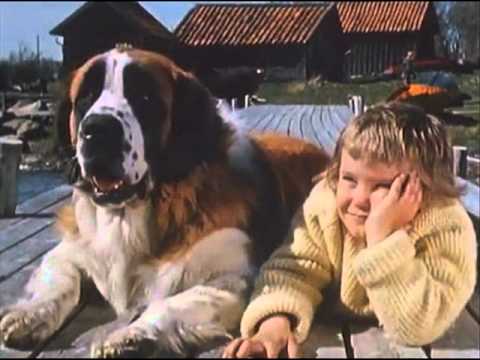 Vår på saltkråkan - Vi på saltkråkan