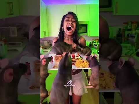 Cookingwithkya Have Rats #cookingwithkya #kya #cooking #viralvideo #trending