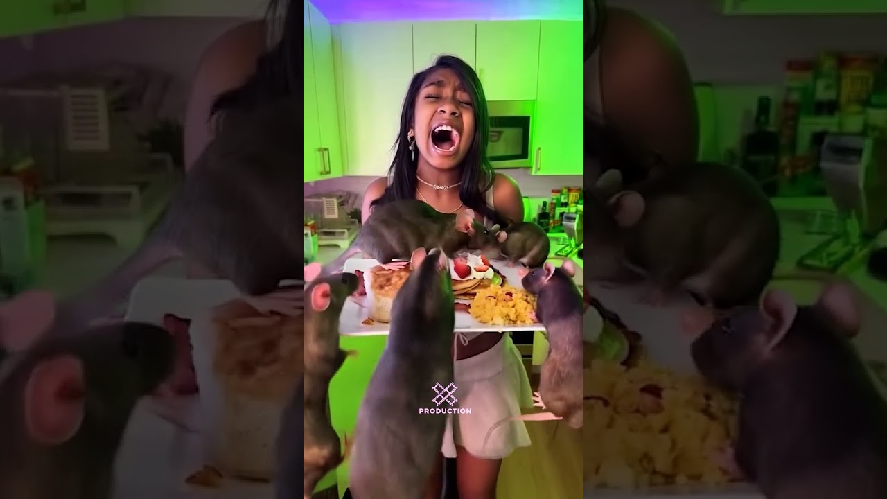 CookingwithKya's Unexpected Rat Surprise! 🐭 Watch the Viral Moment