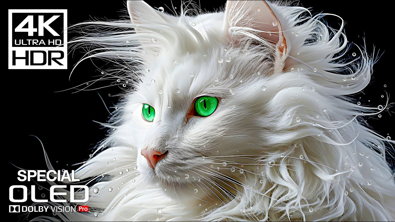 Ultimate OLED Test: Dolby Vision Demo in 4K HDR at 120 FPS 🎥