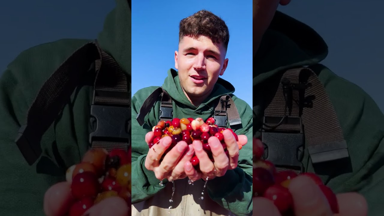 Cranberry Sauce Recipe with Lynja 🍒