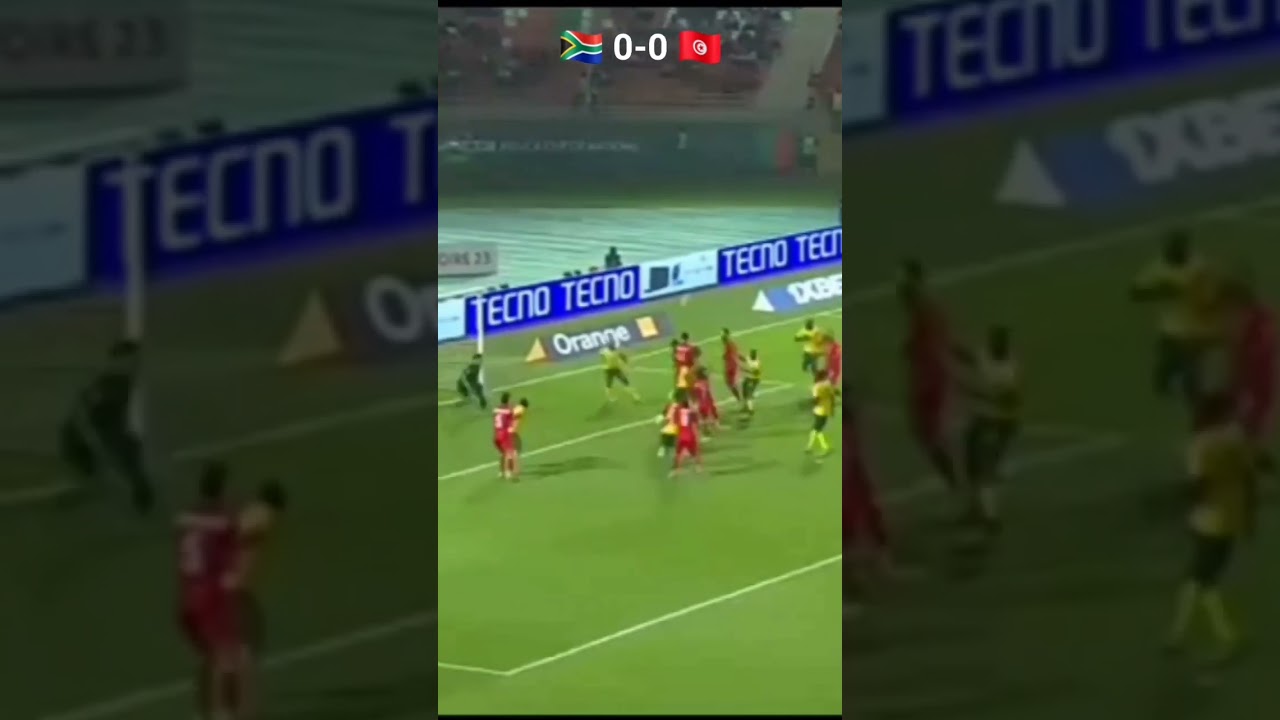 Afrique du Sud et Tunisie Nuls 0-0 ⚽