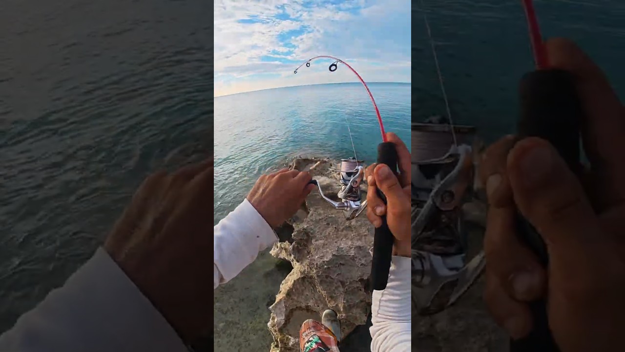 Epic Helicopter Fishing Cast! 🚁