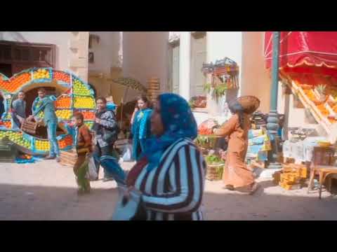 CBC Egypt Identity Holiday #1