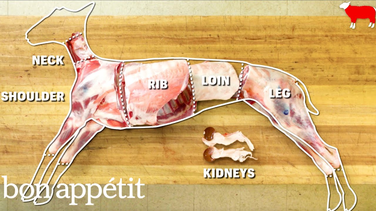 How to Butcher a Whole Lamb & Identify Cuts 🥩