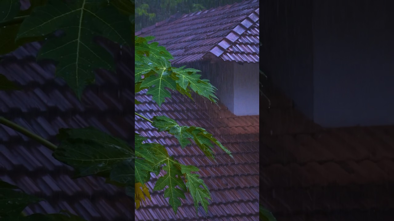 Monsoon Coming π #kerala rainsounds #relaxing #thunder #relaxingsounds #sleep #sleepsounds