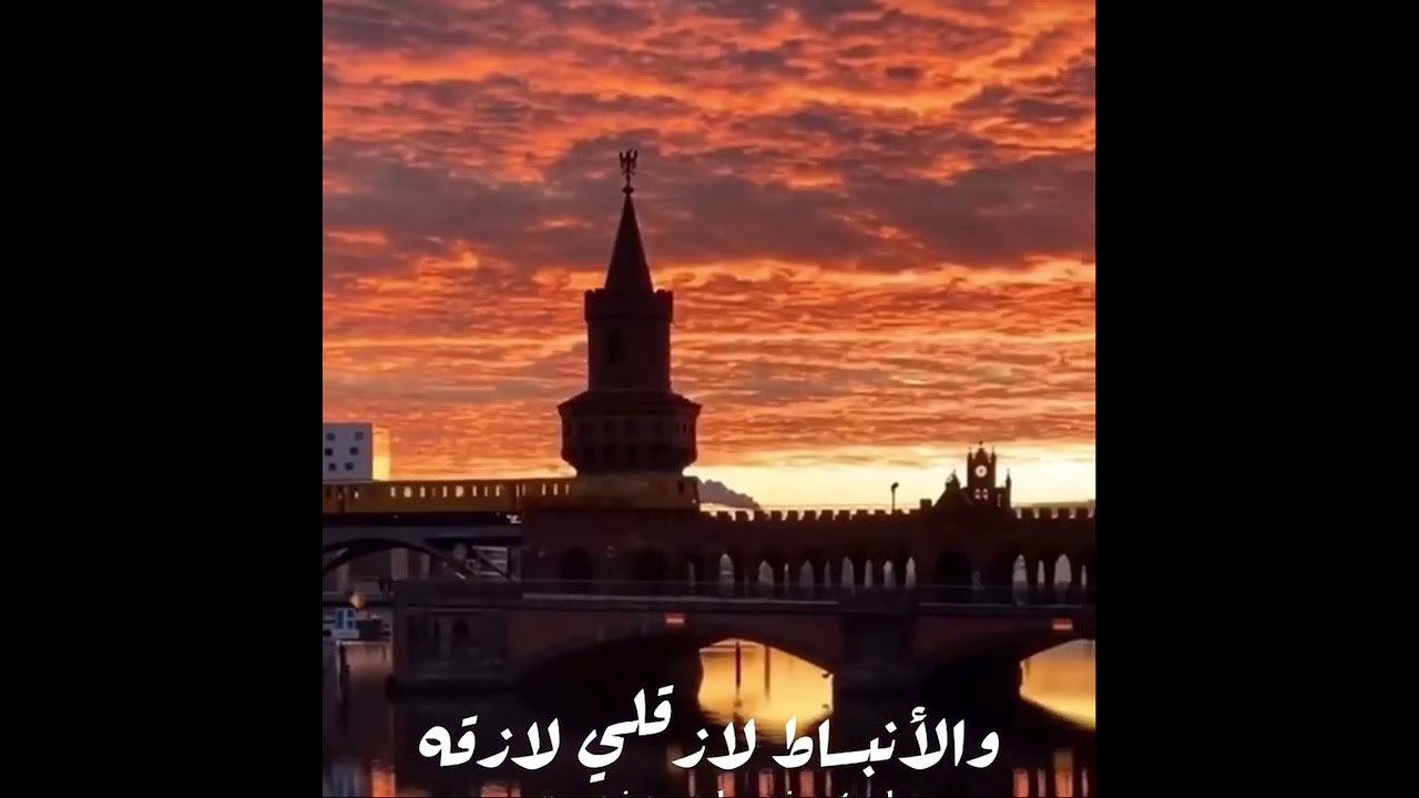 ايه اليوم الحلو دا ❤️