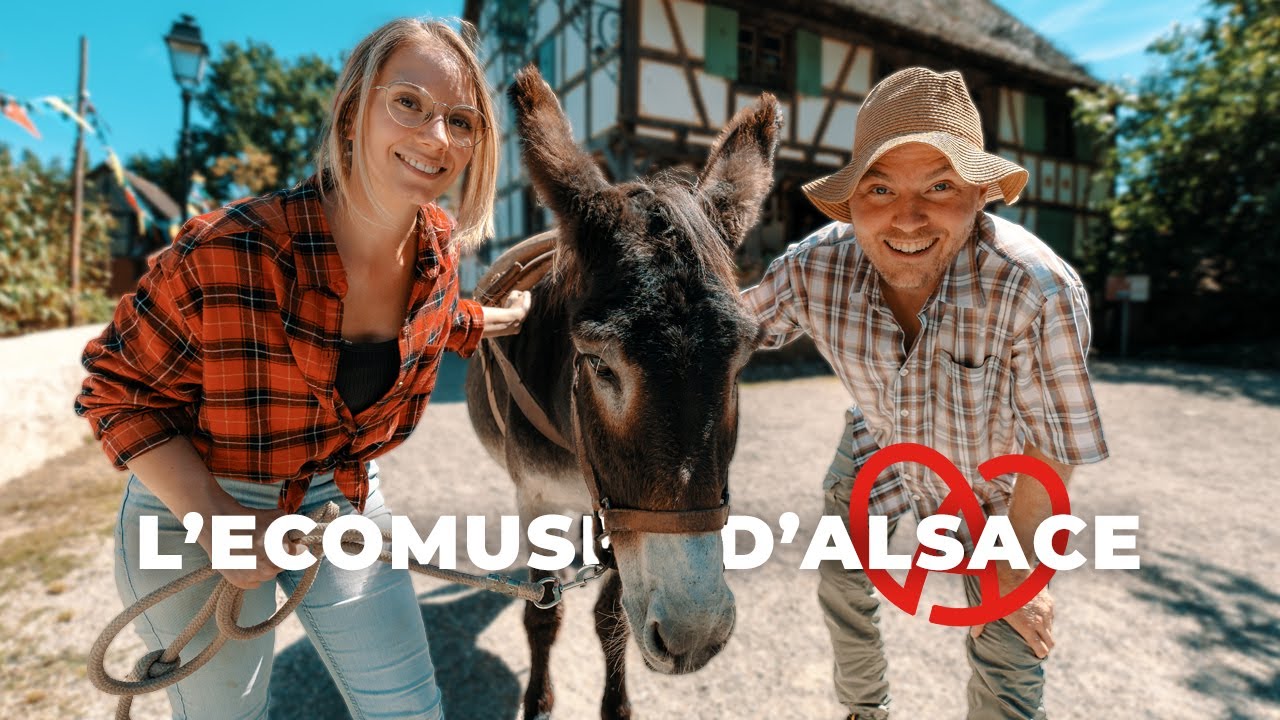 Notre Coup de Cœur : le plus beau village d’Alsace