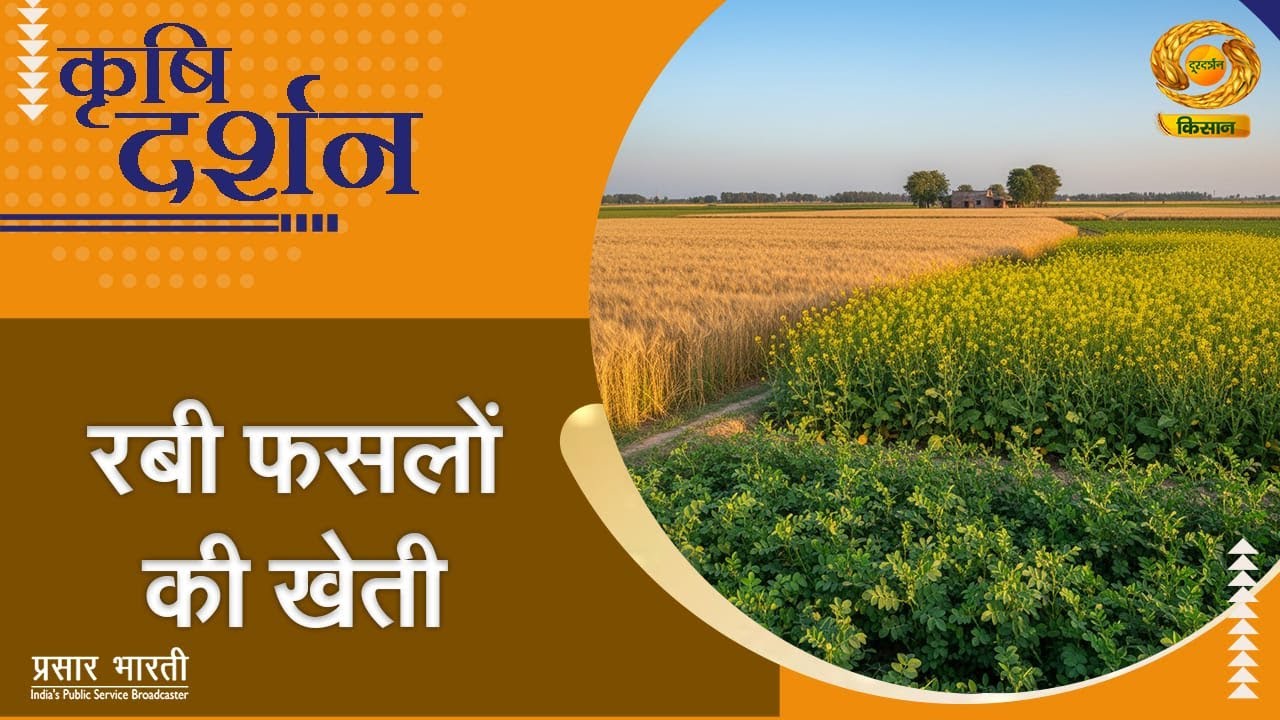 Krishi Darshan | कृषि दर्शन: रबी फसलों की खेती  | DD Kisan | Nov. 3, 2025