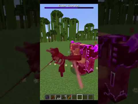 ENDER GUARDIAN VS Mutant Wither Skeleton