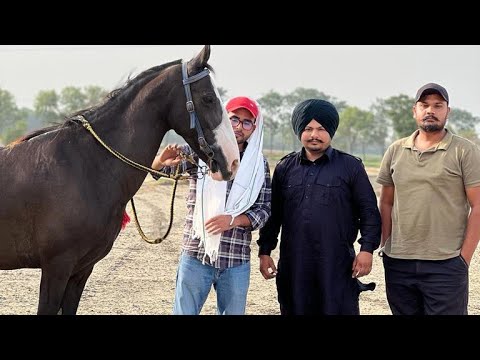 Raddical (Making) by Sukh Bhullar | Emperor Music 2023