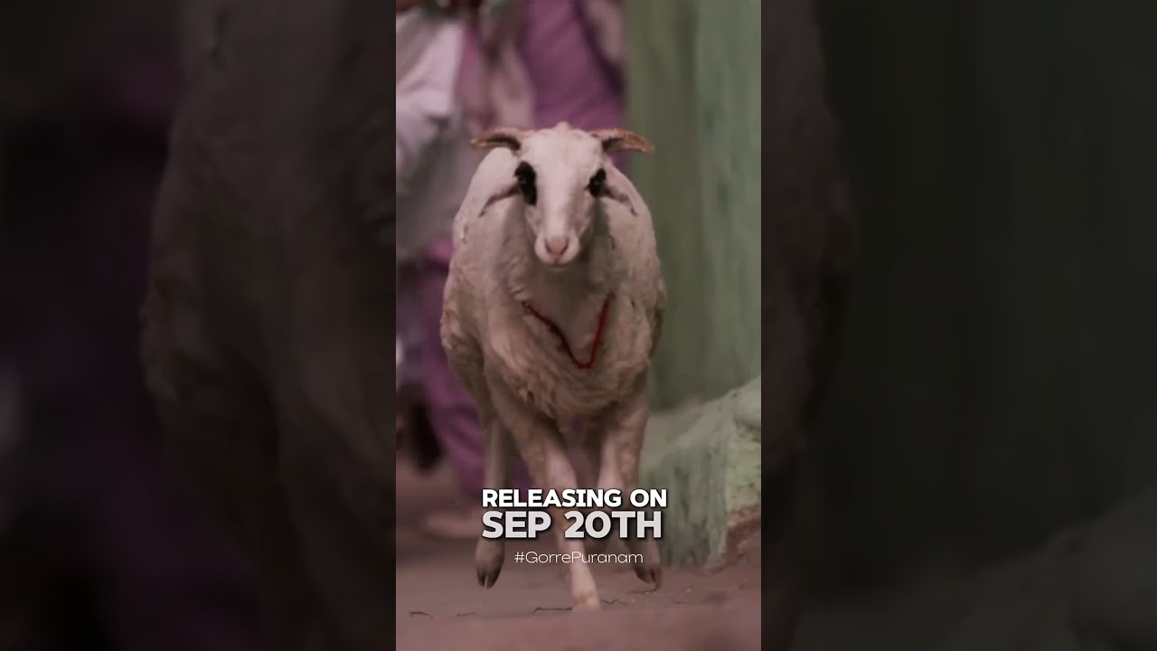 Suhas Stars in Exciting New Movie 'Gorre Puranam' Directed by Bobby – Releasing September 20, 2024 🎬