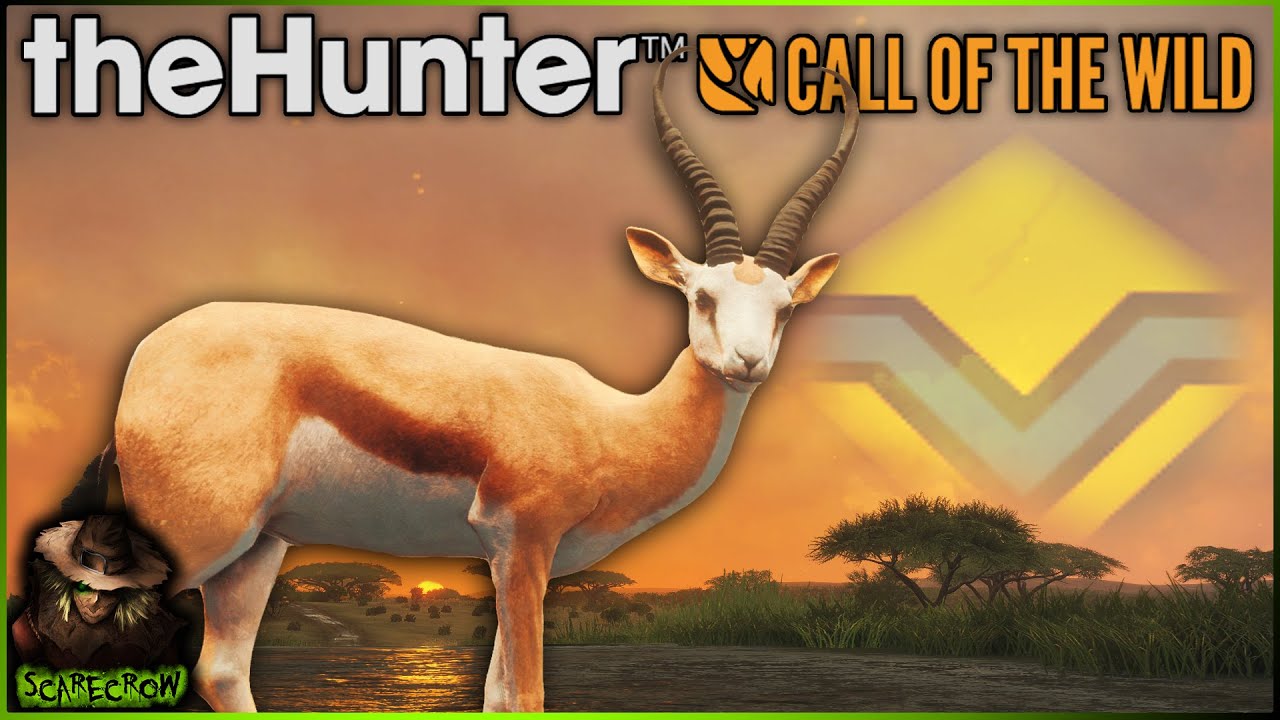 Kudu Hunt Leads to Rare Diamond Springbok 🦌