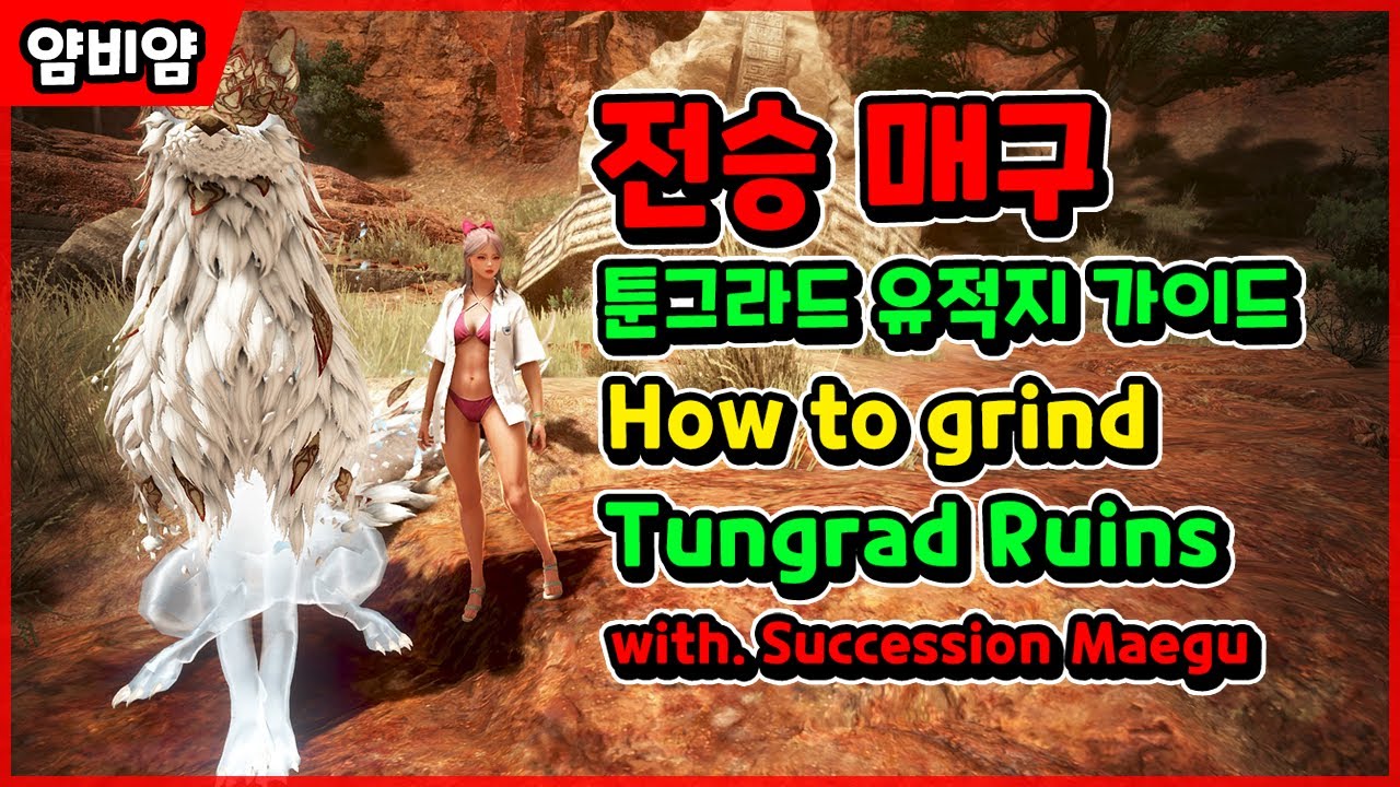 검은사막: 툰그라드 유적지 전승 매구 가이드🗺️