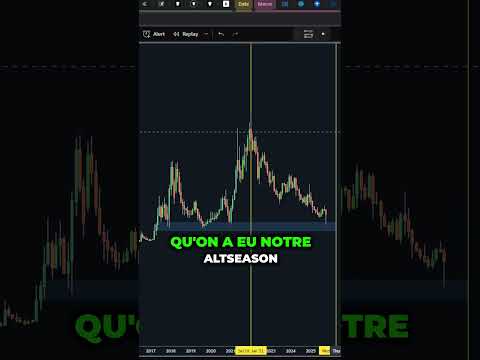 C'EST LA FIN des ALTCOINS ? PAS LE MOMENT DE PANIQUER !! #crypto #altcoins #bullrun #investir
