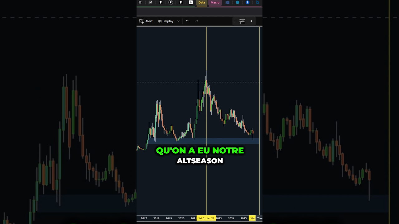 Altcoins en crise ? Ne paniquez pas, le rebond pourrait venir ! 🚀