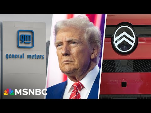 'Far less punitive than was feared': Japanese auto stocks soar after Trump unveils trade deal