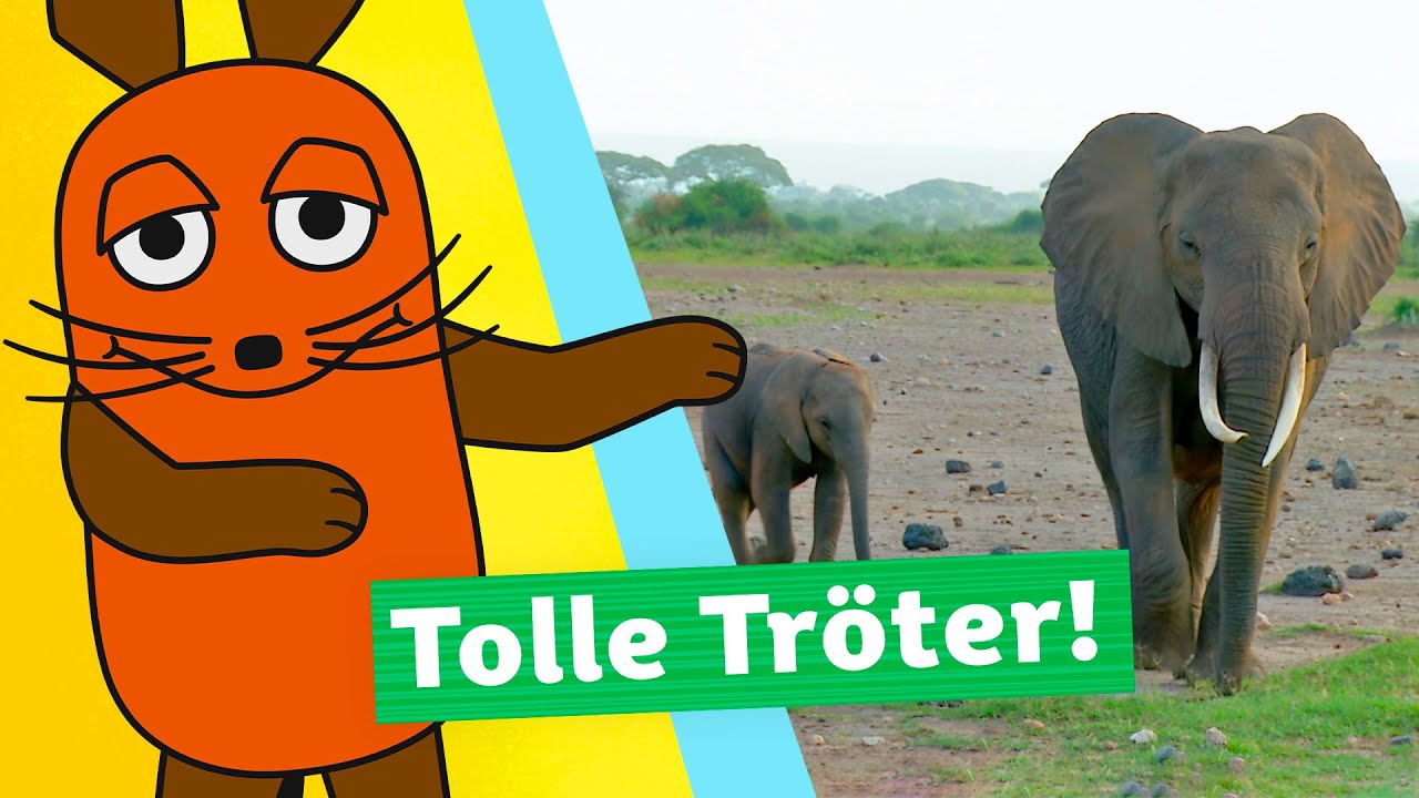 Wie tröten Elefanten? | Die Maus 🐘