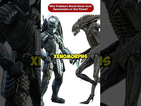 Why Predators Would Never Hunt Xenomorphs On Their Home Planet? #Shorts #Viral