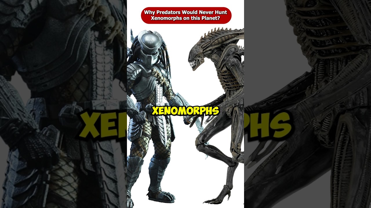 Why Predators Never Hunt Xenomorphs on Their Home Planet 🛸