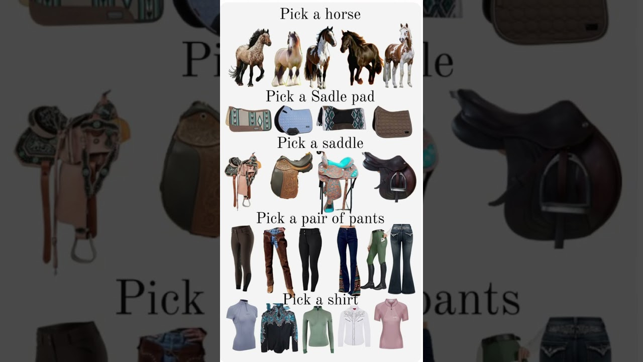 Choose Your Equestrian Gear 🐴