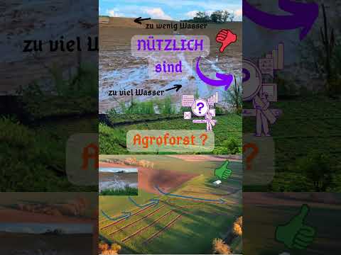 noch 22 Tage bis zur BTW25