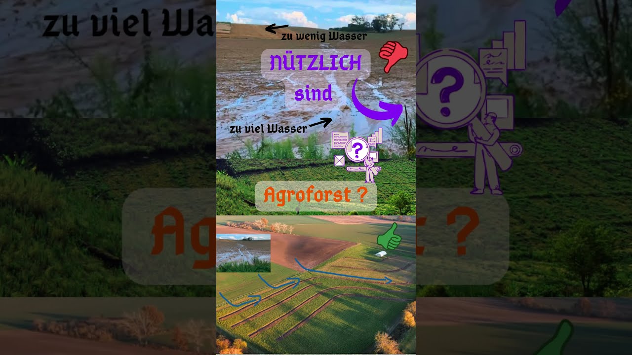 22 Tage bis BTW25: Grüne für Naturschutz 🌱