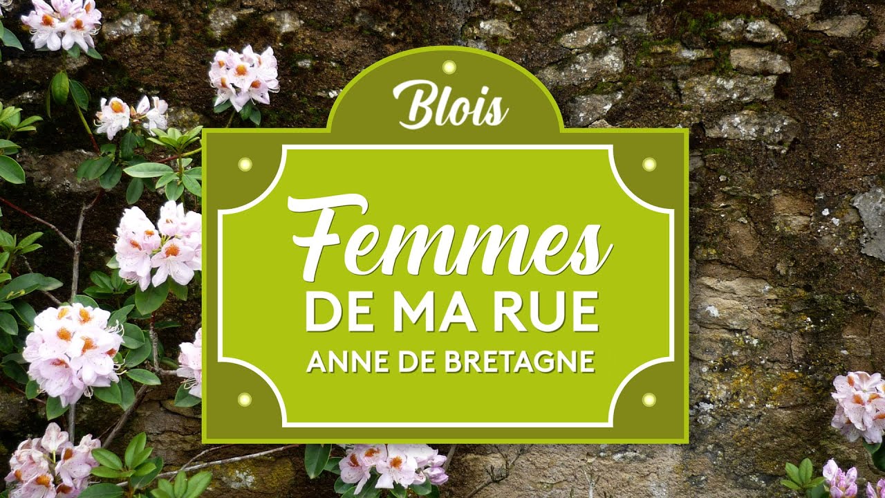 Anne de Bretagne : La Reine emblématique installée à Blois 👑