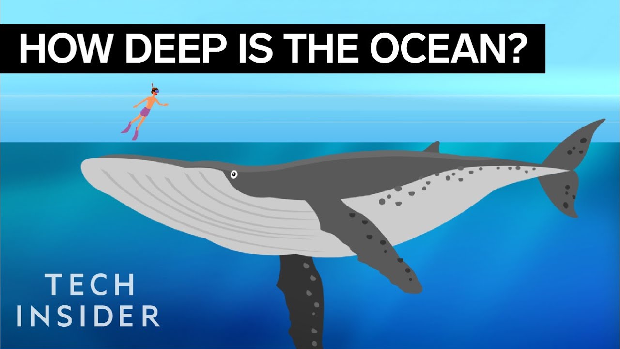 Amazing Animation Reveals Ocean's True Depth 🌊