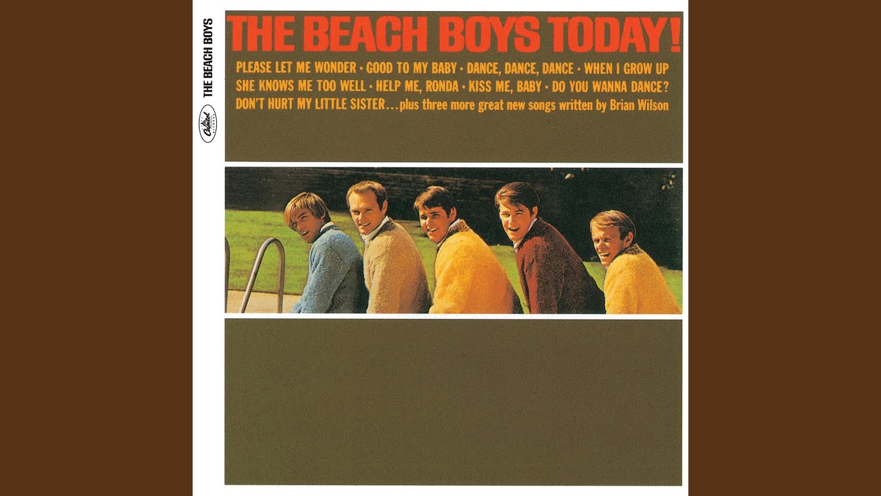 Please Let Me Wonder (Stereo) - The Beach Boys