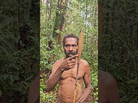 Survival Arrows 🏹😯 #hunting #korowai #jungle #nature #papua