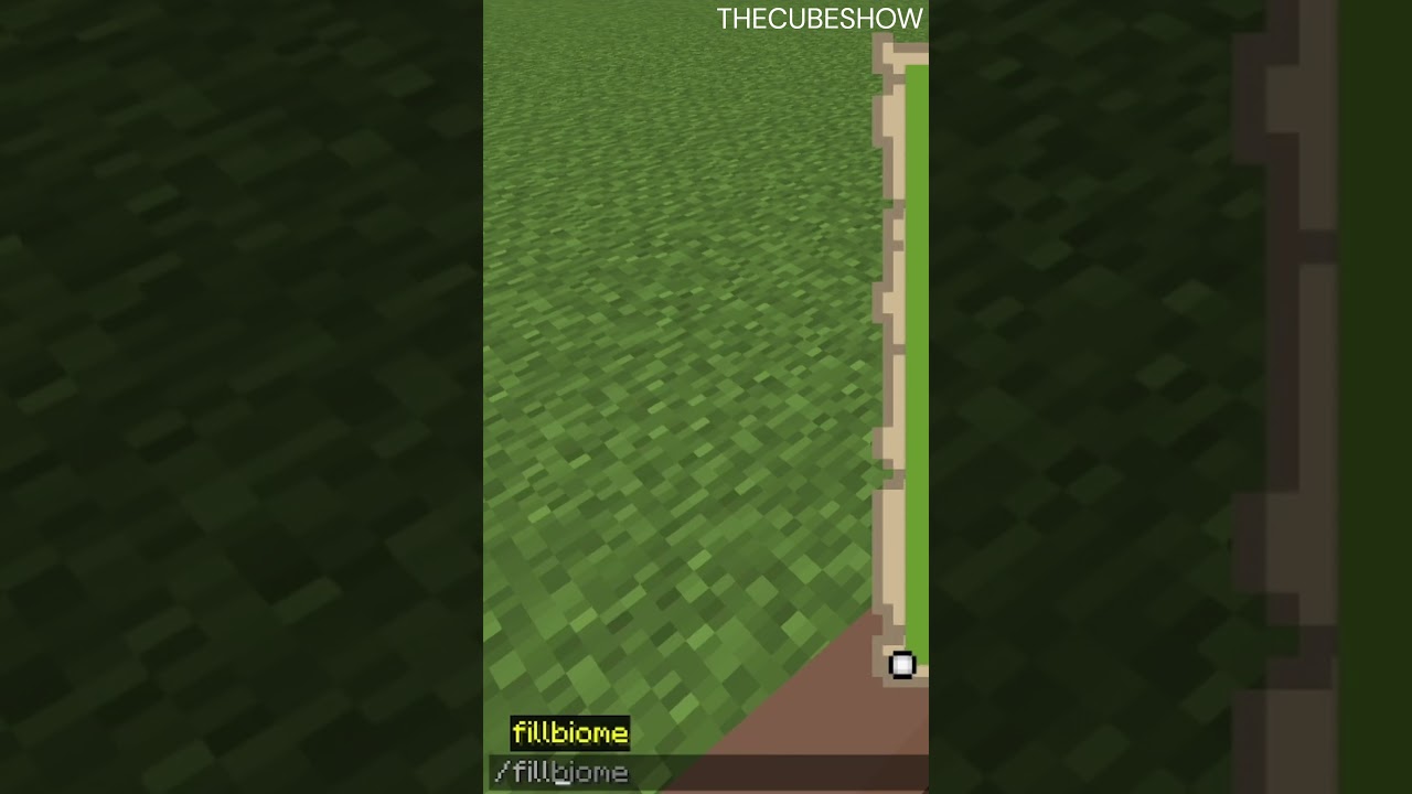 HOW TO MAKE A GREEN SCREEN | MINECRAFT