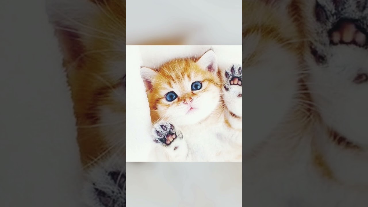 Когда грустно: что делать? 😢