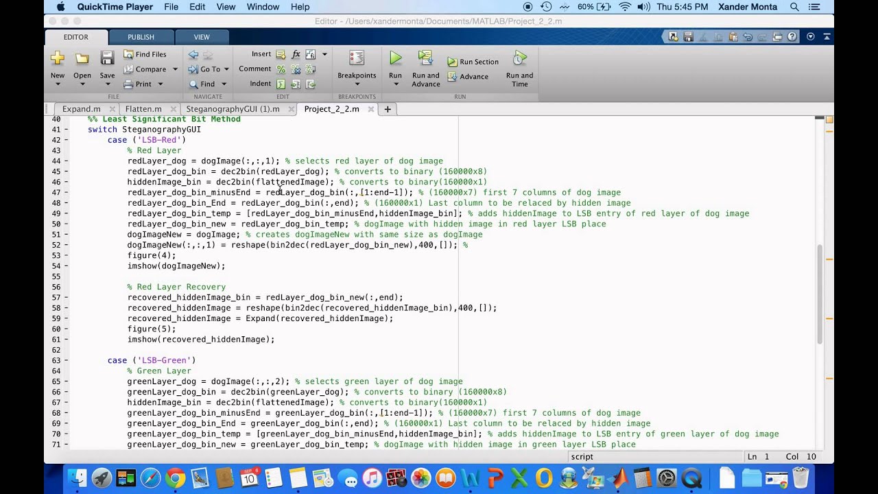 ENG 006- ENG 006: Create an Interactive Steganography GUI for Secure Data Hiding ๐