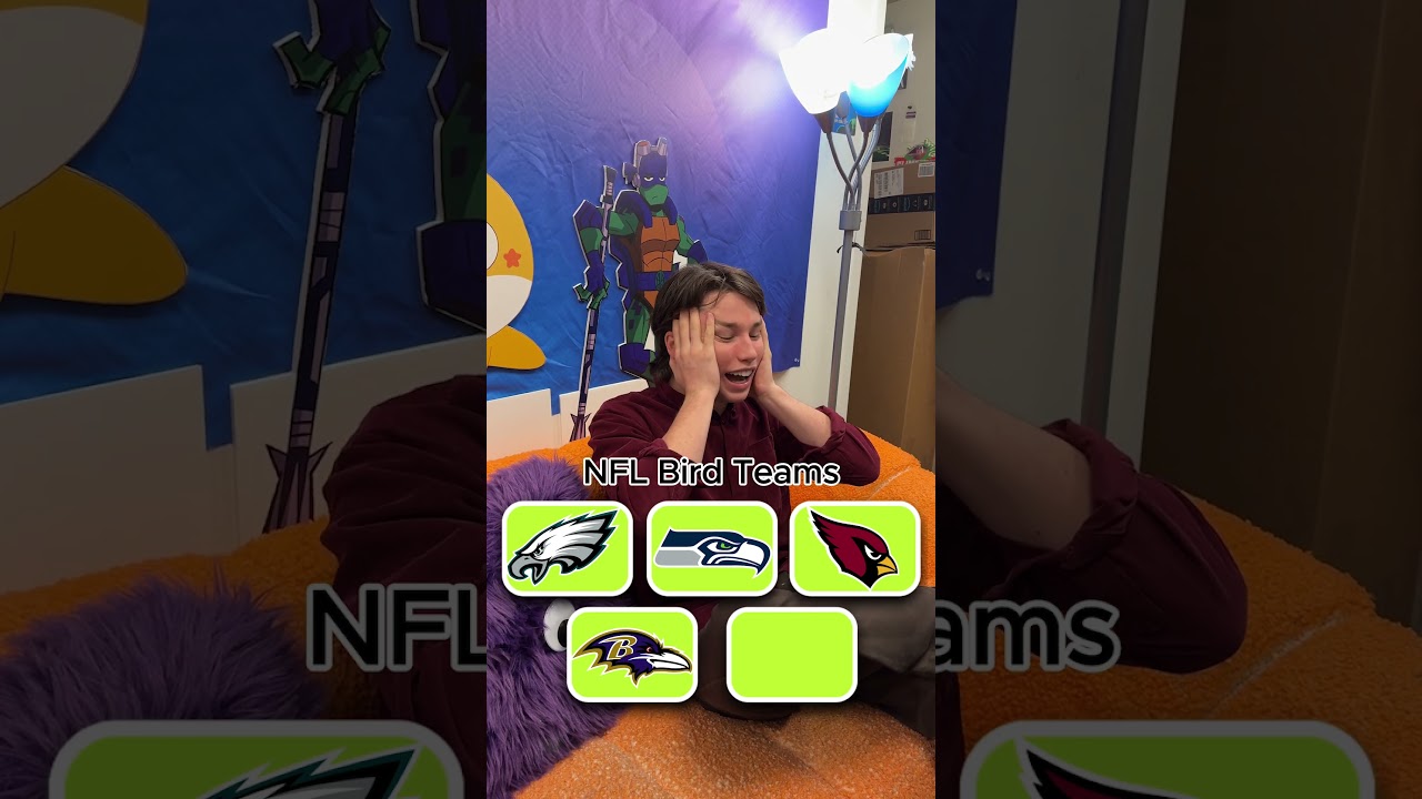 5 NFL Teams with Bird Mascots 🦅