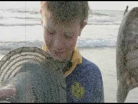 49 SWIMMING POOLS The Goodbye song (2009)