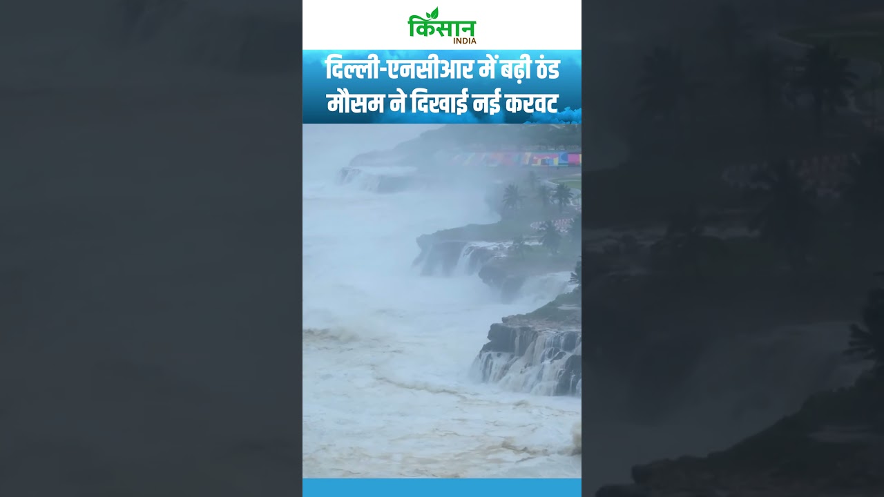 आज का मौसम अपडेट: UP-बिहार में हल्की बारिश, दिल्ली-NCR में भारी बारिश का अलर्ट 🌧️