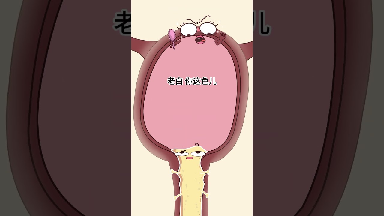 不同时期白带的颜色不一样,是为什么呢? #animation #搞笑 #沙雕剧情 #funny