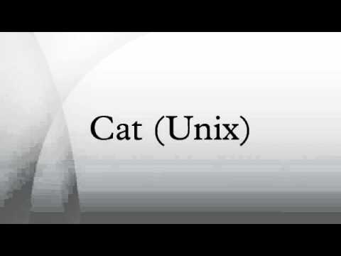 Unix Cat Command: Read and Output Files π