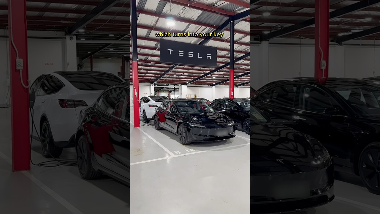 My 2025 Tesla Model 3 Arrival 🚗