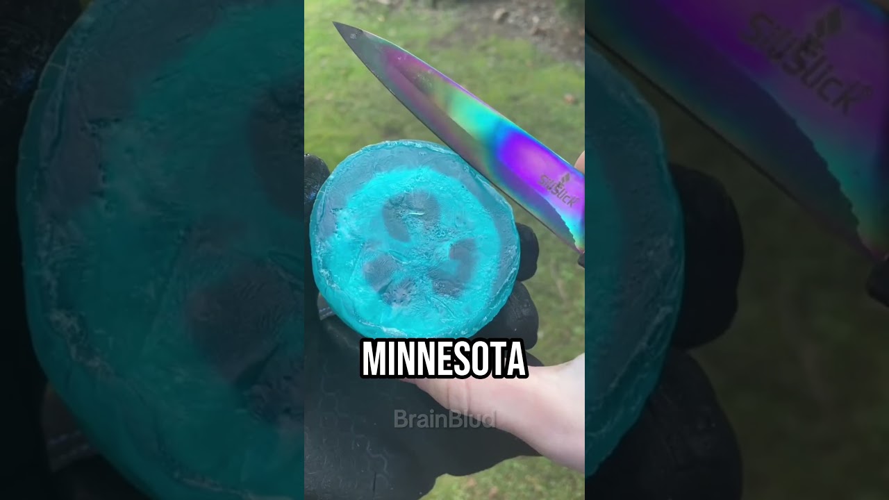 Not So Fun Facts Nobody Knew ๐