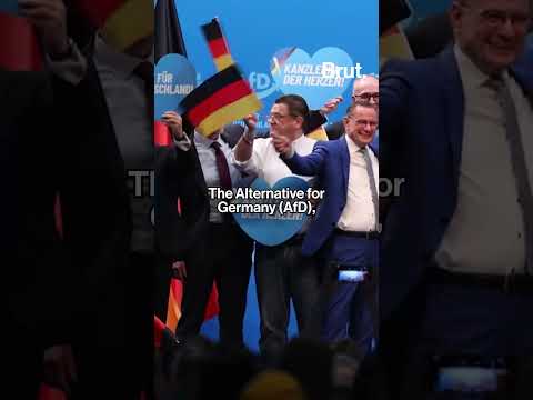 German elections 2025