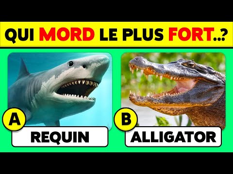 Connais-tu les ANIMAUX...? 🦓🐒🐦 50 Questions de CULTURE GÉNÉRALE ✅