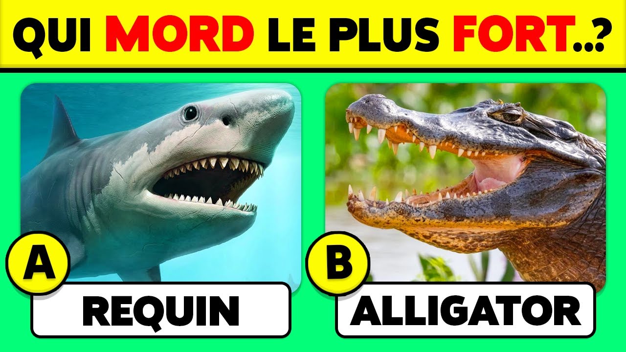Testez Vos Connaissances avec Notre Quiz Sur les Animaux ! 🦓🐒🐦