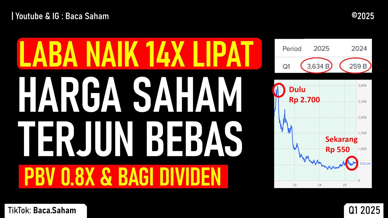 Laba Naik 14X Lipat Tapi Harga Saham Terjun Bebas ! PBV 0.8X & Bagi Dividen