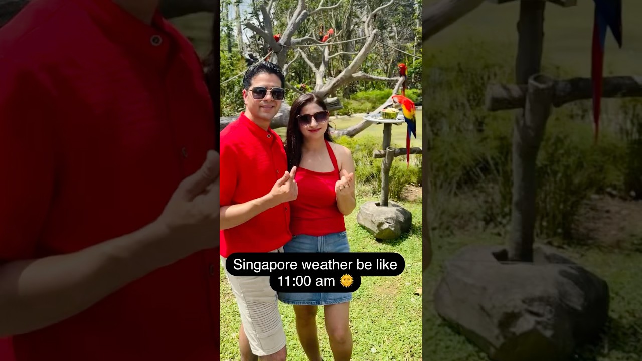 Singapore Weather: Your Ultimate Travel & Climate Guide ☀️