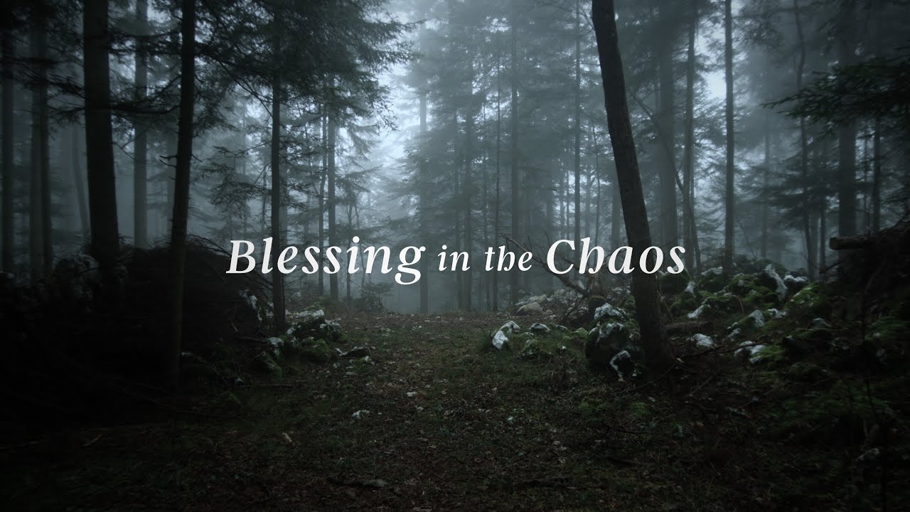 Blessing in Chaos: A Quiet Prayer 🙏